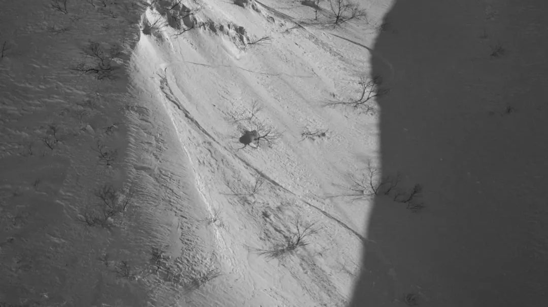 【 PLAY SNOW CAMAPANELA Snow Lovers' Festival 今季より初開催!! 】