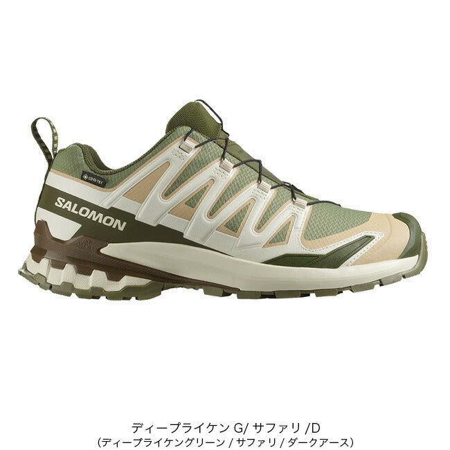 SALOMON XAプロ3DV9 GTX メンズ