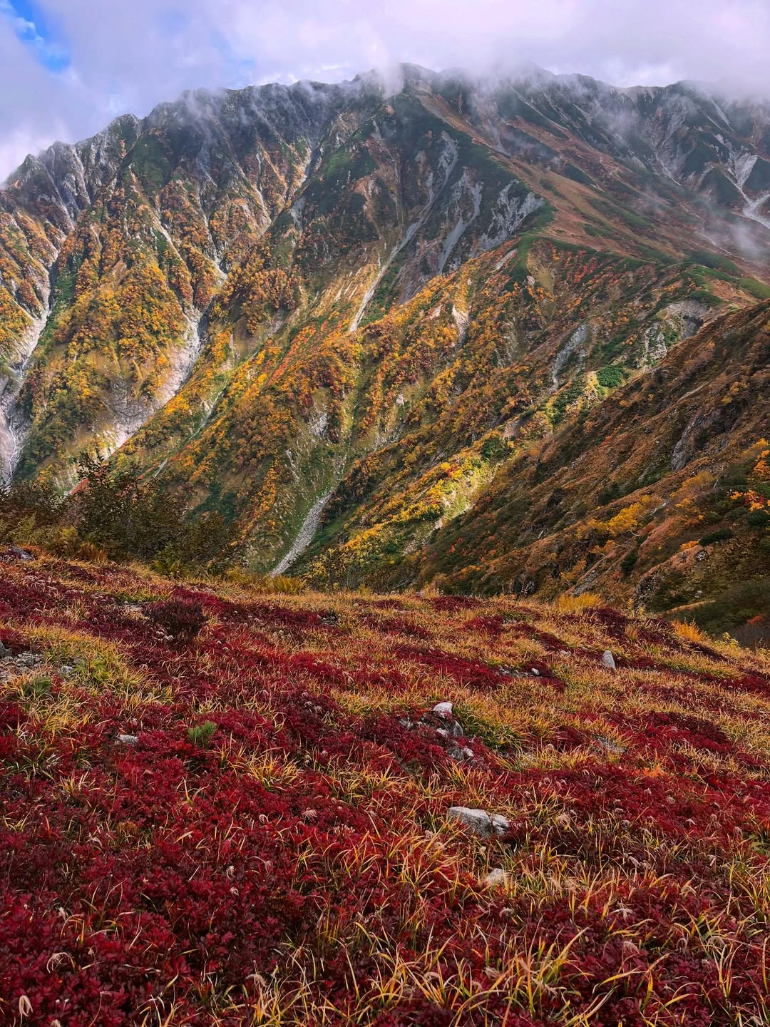 【立山「称名サーキット」で紅葉満喫トレイル🍁】