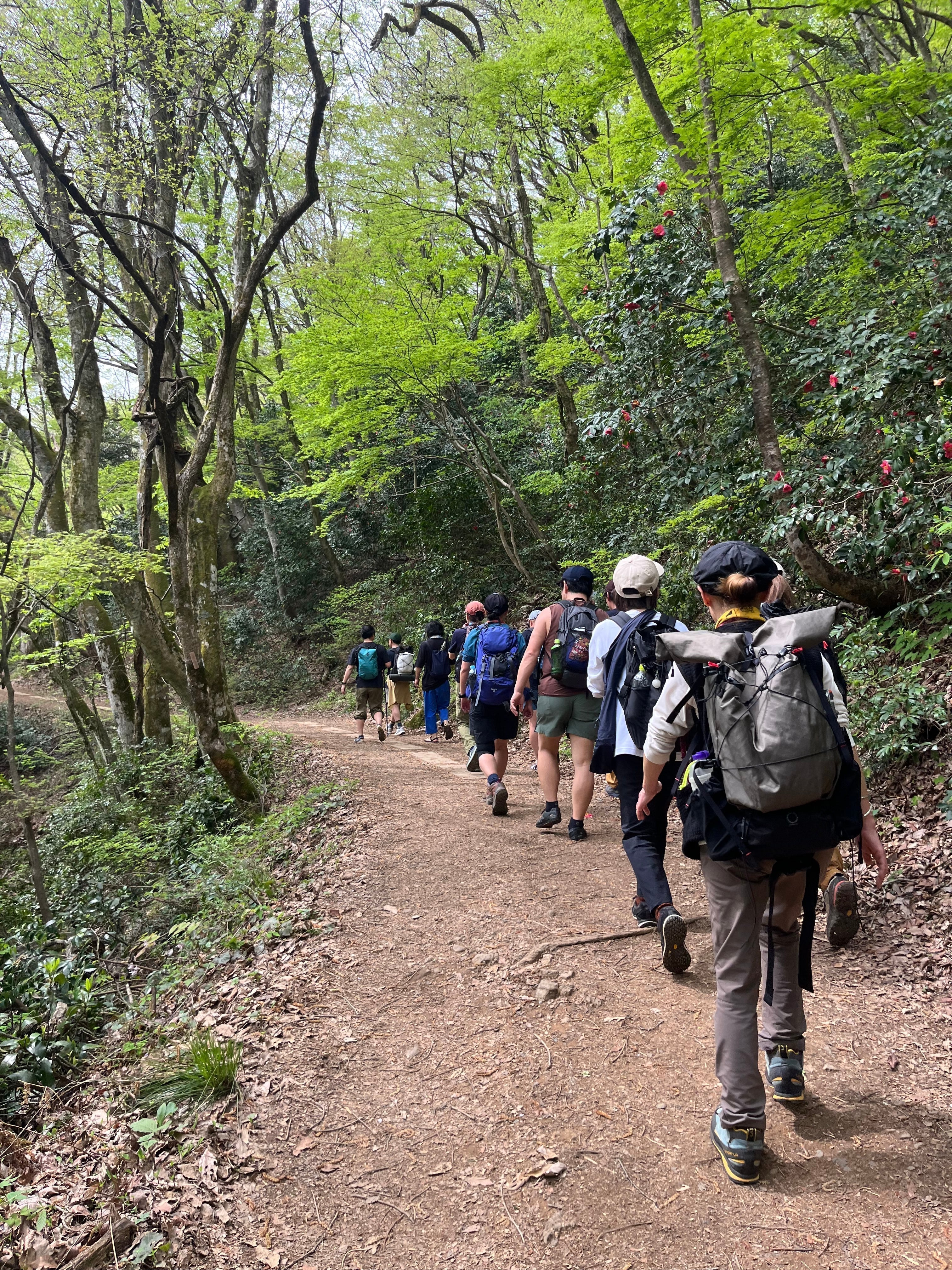 【HLC北陸】ミートアップハイキングを開催【新緑の文殊山】