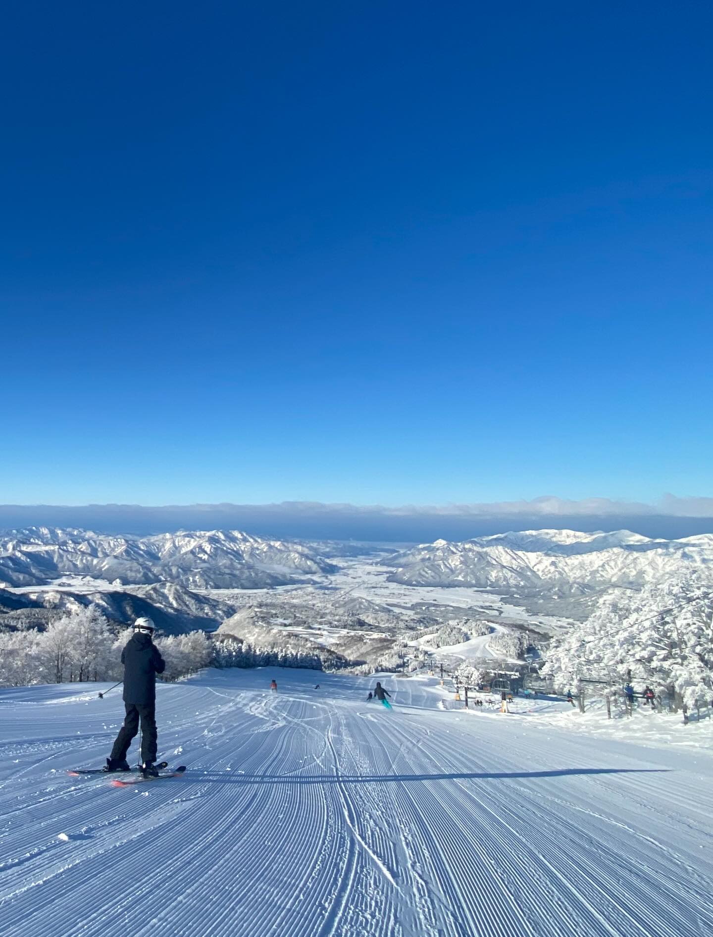 \ やっぱりジャム！ /【フィールド紹介 / スキージャム勝山❄️】